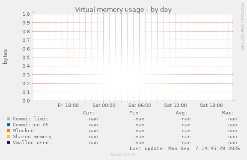 Virtual memory usage