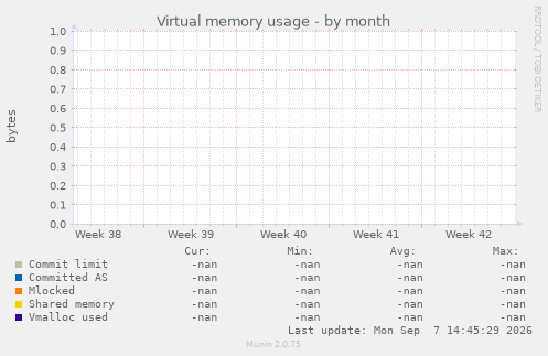 Virtual memory usage