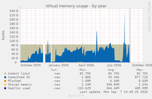 Virtual memory usage