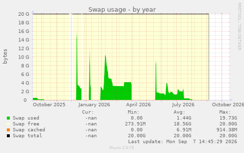 Swap usage